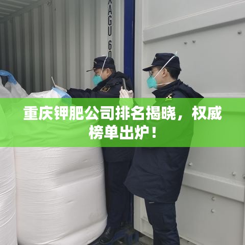 重庆钾肥公司排名揭晓，权威榜单出炉！