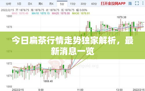 今日扁茶行情走势独家解析，最新消息一览