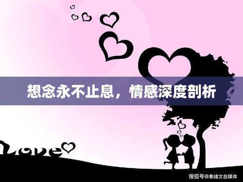 想念永不止息，情感深度剖析