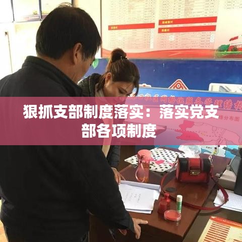 狠抓支部制度落实：落实党支部各项制度 