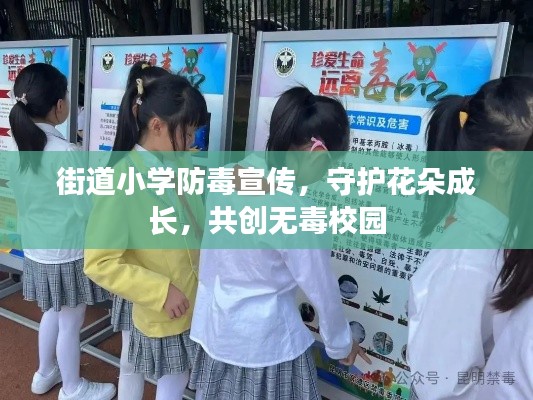 街道小学防毒宣传，守护花朵成长，共创无毒校园