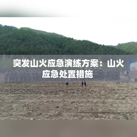 突发山火应急演练方案：山火应急处置措施 