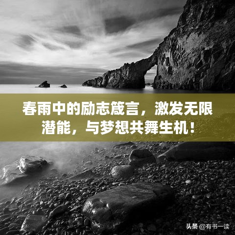 春雨中的励志箴言，激发无限潜能，与梦想共舞生机！