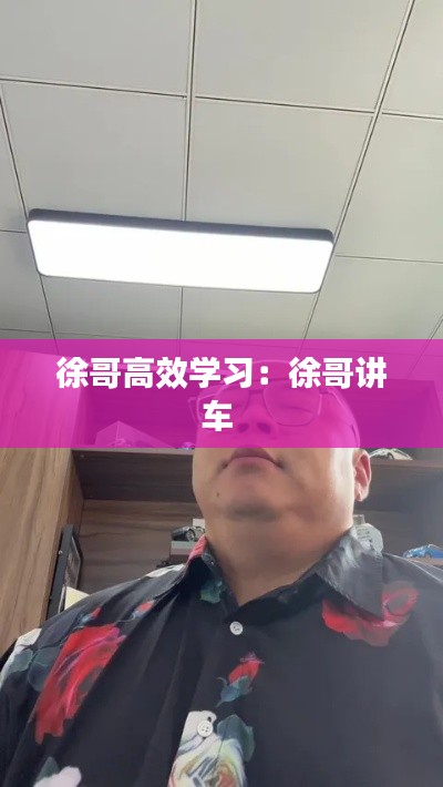 徐哥高效学习：徐哥讲车 
