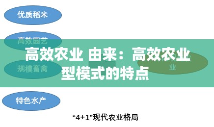 高效农业 由来：高效农业型模式的特点 