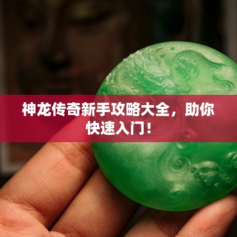 神龙传奇新手攻略大全，助你快速入门！