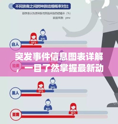 突发事件信息图表详解，一目了然掌握最新动态