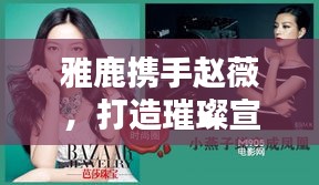 雅鹿携手赵薇，打造璀璨宣传盛宴，共谱时尚新篇章！