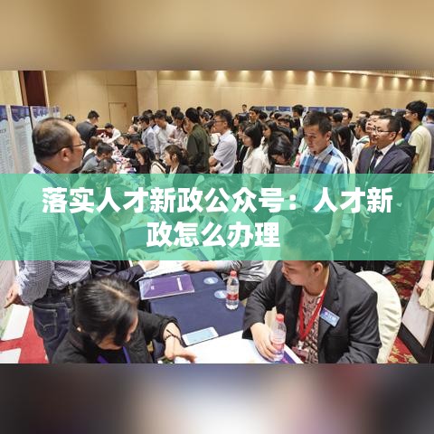 落实人才新政公众号：人才新政怎么办理 