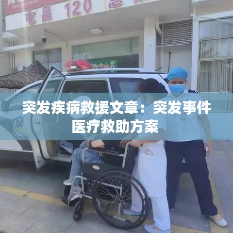 突发疾病救援文章：突发事件医疗救助方案 