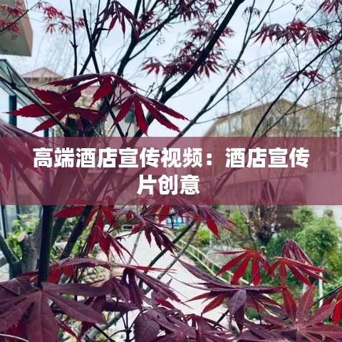 高端酒店宣传视频：酒店宣传片创意 