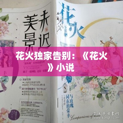 花火独家告别：《花火》小说 