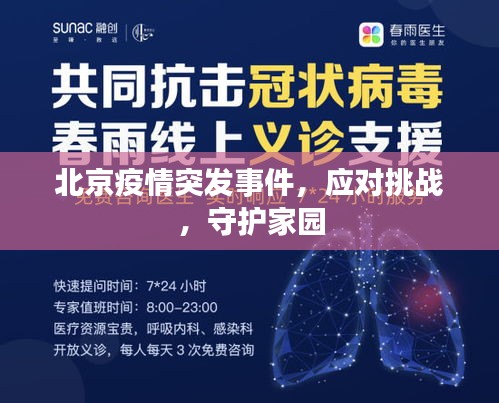 北京疫情突发事件，应对挑战，守护家园