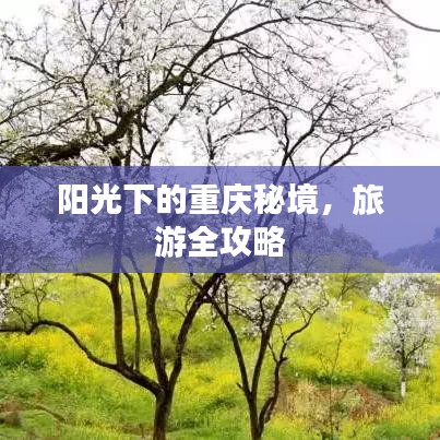 阳光下的重庆秘境，旅游全攻略
