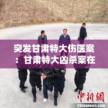 突发甘肃特大伤医案：甘肃特大凶杀案在逃 