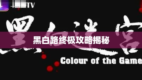 黑白路终极攻略揭秘