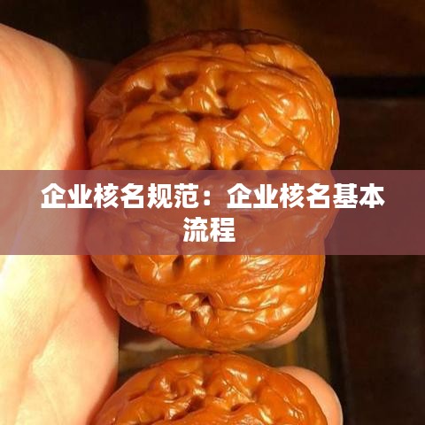 企业核名规范：企业核名基本流程 