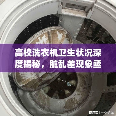 高校洗衣机卫生状况深度揭秘，脏乱差现象亟待改善
