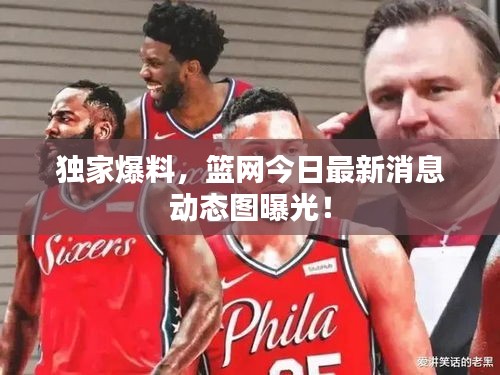 独家爆料，篮网今日最新消息动态图曝光！