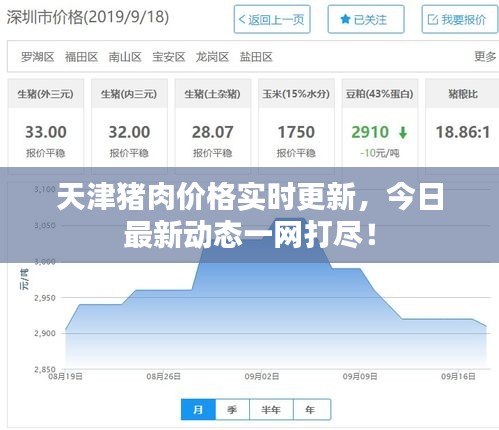 天津猪肉价格实时更新，今日最新动态一网打尽！