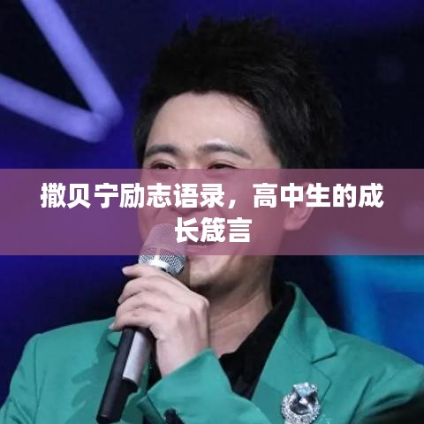 撒贝宁励志语录，高中生的成长箴言