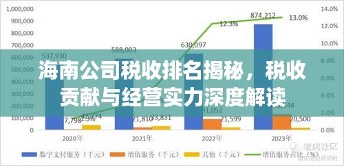 海南公司税收排名揭秘，税收贡献与经营实力深度解读