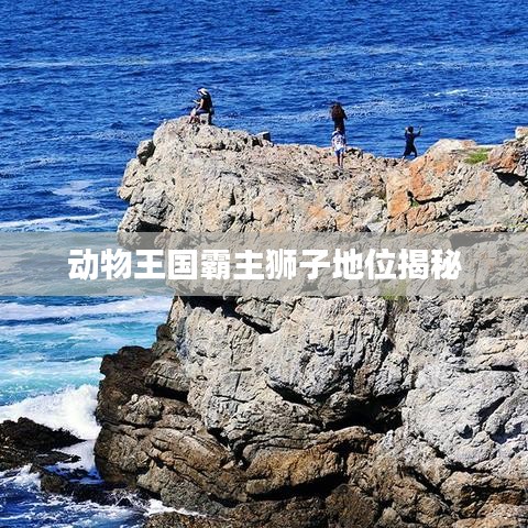 动物王国霸主狮子地位揭秘