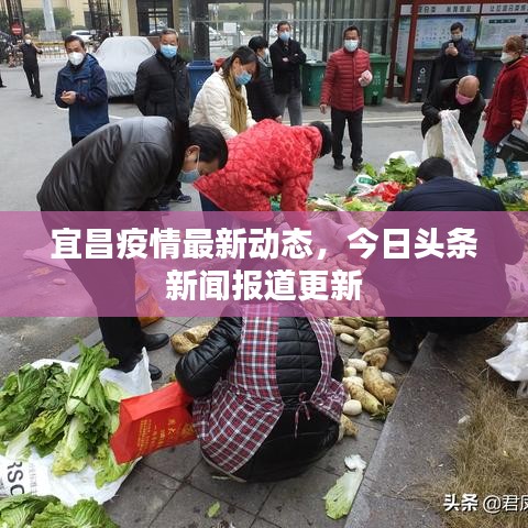 宜昌疫情最新动态，今日头条新闻报道更新
