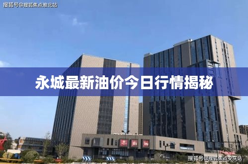 永城最新油价今日行情揭秘