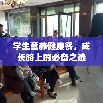 学生营养健康餐，成长路上的必备之选