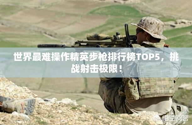 世界最难操作精英步枪排行榜TOP5，挑战射击极限！