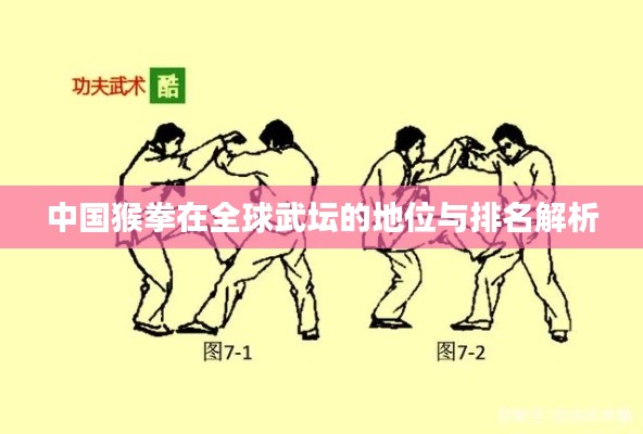 中国猴拳在全球武坛的地位与排名解析