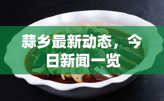 蒜乡最新动态，今日新闻一览