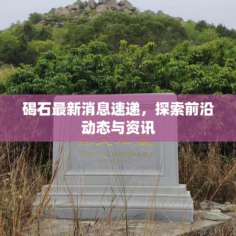 碣石最新消息速递，探索前沿动态与资讯