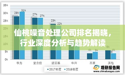 仙桃噪音处理公司排名揭晓，行业深度分析与趋势解读