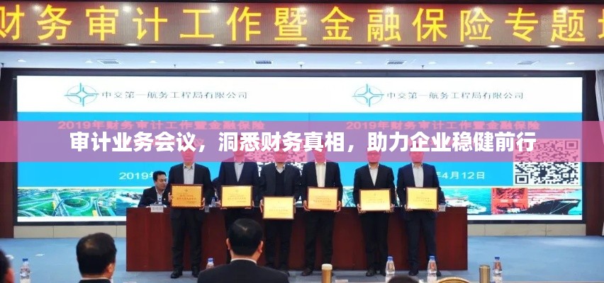 审计业务会议，洞悉财务真相，助力企业稳健前行