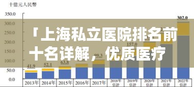 「上海私立医院排名前十名详解，优质医疗资源的精选指南」