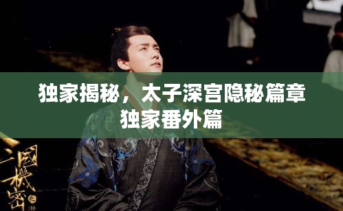 独家揭秘，太子深宫隐秘篇章独家番外篇