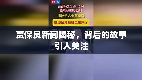 贾保良新闻揭秘，背后的故事引人关注