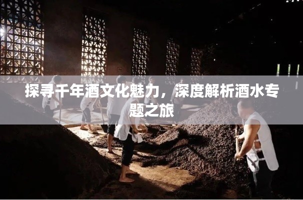 探寻千年酒文化魅力，深度解析酒水专题之旅