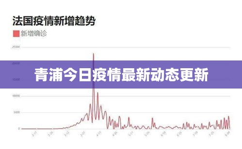 青浦今日疫情最新动态更新