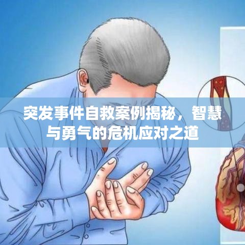 突发事件自救案例揭秘，智慧与勇气的危机应对之道