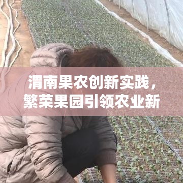 渭南果农创新实践，繁荣果园引领农业新风尚