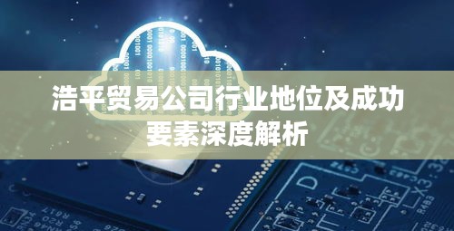 浩平贸易公司行业地位及成功要素深度解析