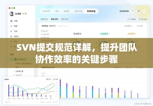 SVN提交规范详解，提升团队协作效率的关键步骤