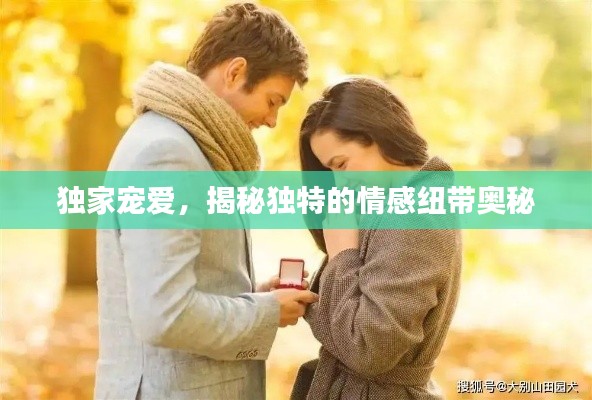 独家宠爱，揭秘独特的情感纽带奥秘