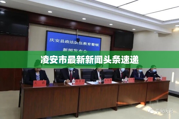 凌安市最新新闻头条速递