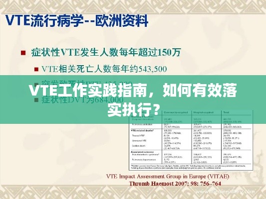 VTE工作实践指南，如何有效落实执行？
