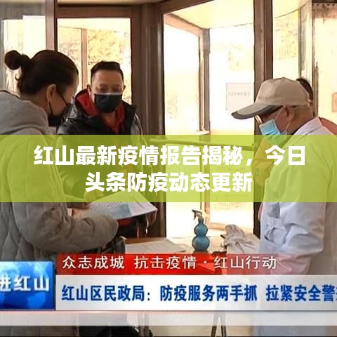 红山最新疫情报告揭秘，今日头条防疫动态更新