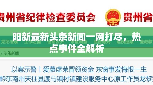 阳新最新头条新闻一网打尽，热点事件全解析
